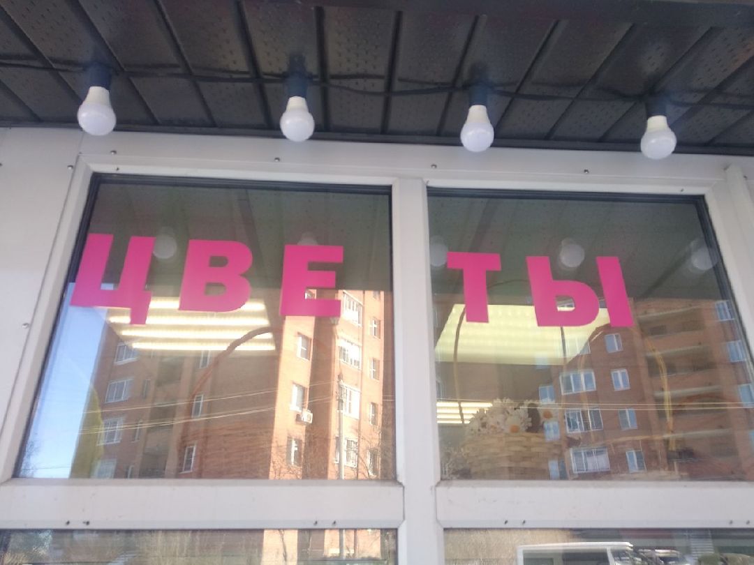 Дмитров, цветы, флорист, Минздрав МО