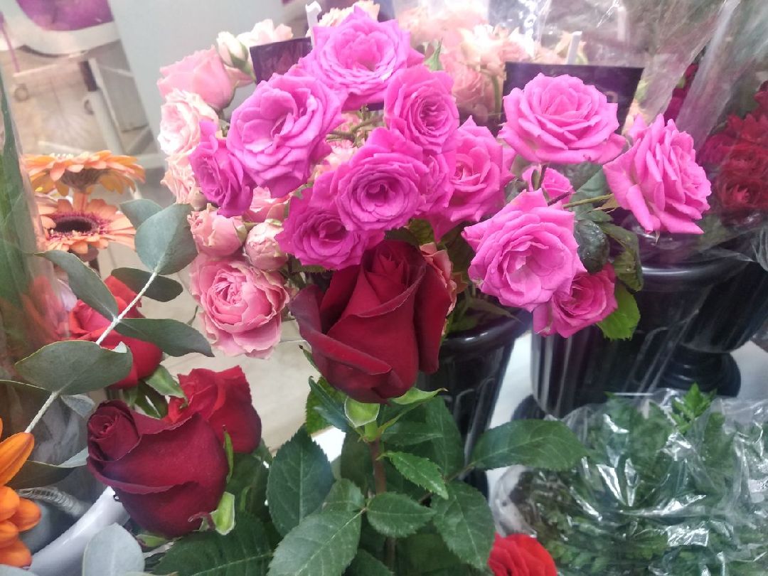 Дмитров, цветы, флорист, Минздрав МО