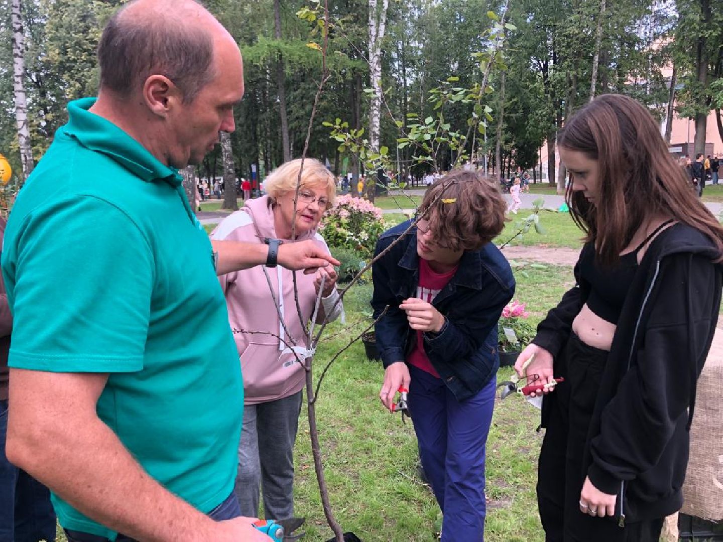 растения, пушкино, жители, мастер-класс,