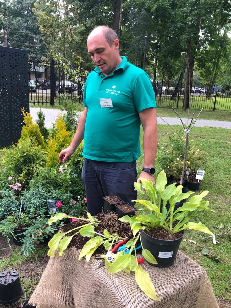 растения, пушкино, жители, мастер-класс,