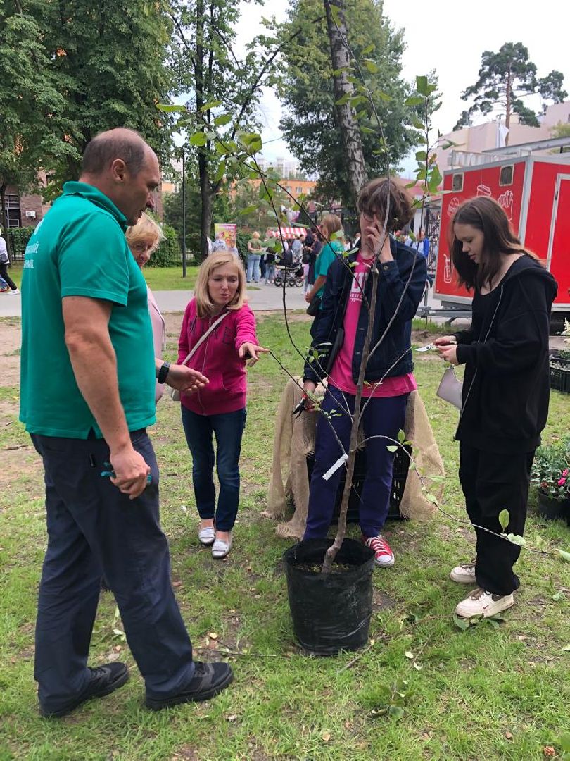 растения, пушкино, жители, мастер-класс,