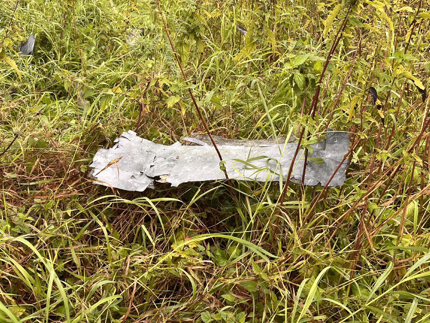 руза, рузский городской округ, чп, происшествие, московская область, подмосковье, бпла, беспилотник,