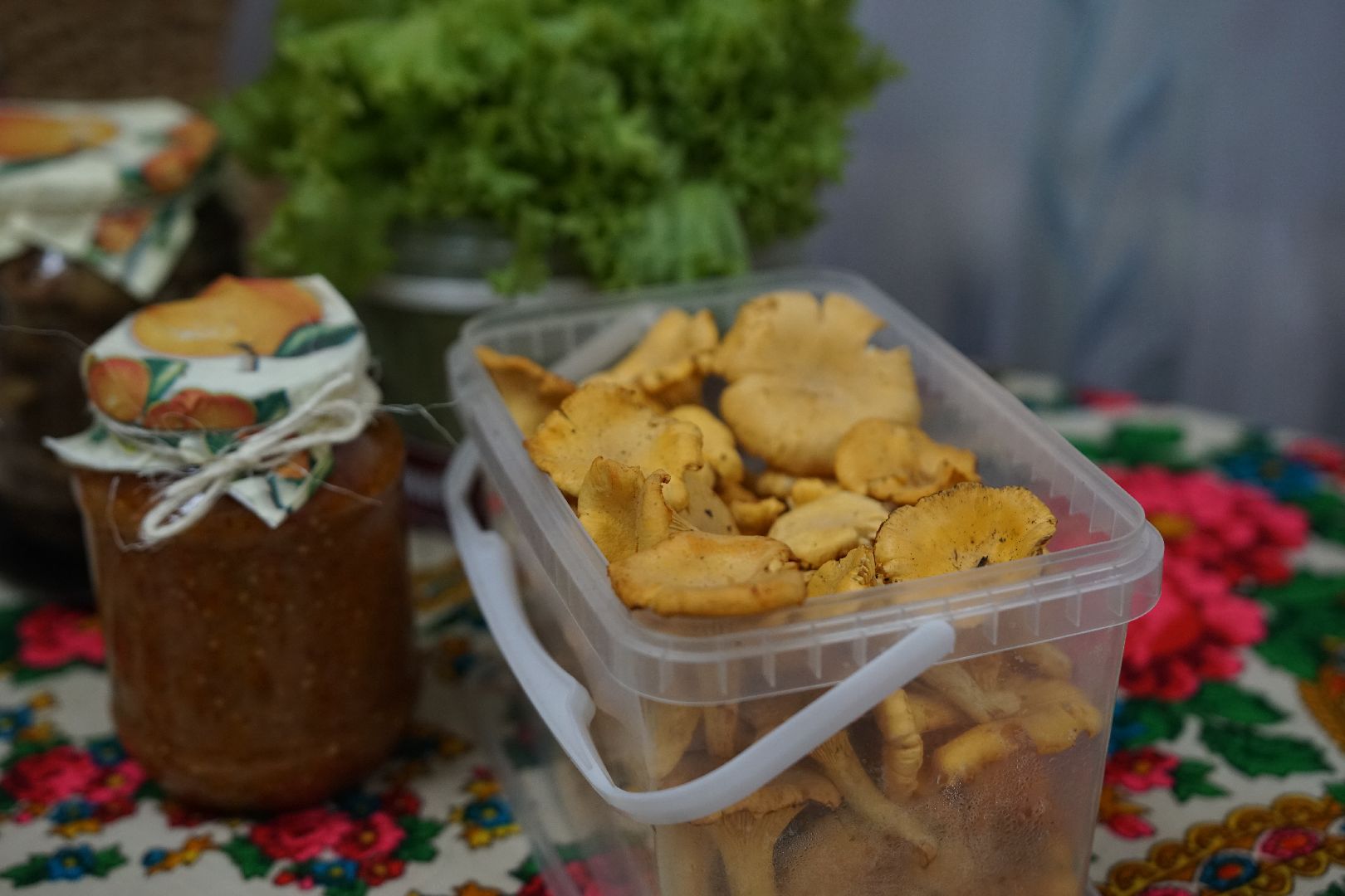 Егорьевск, ветераны, активное долголетие