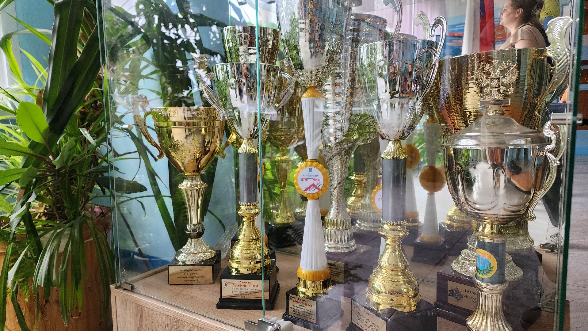 Ступино, образование, топ-500 лучших школ подмосковья