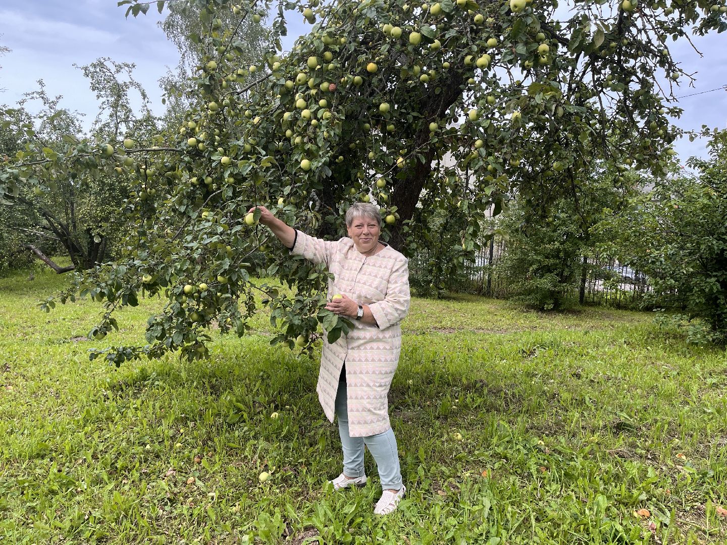 Шаховская, яблоневый сад, парк, история, краевед