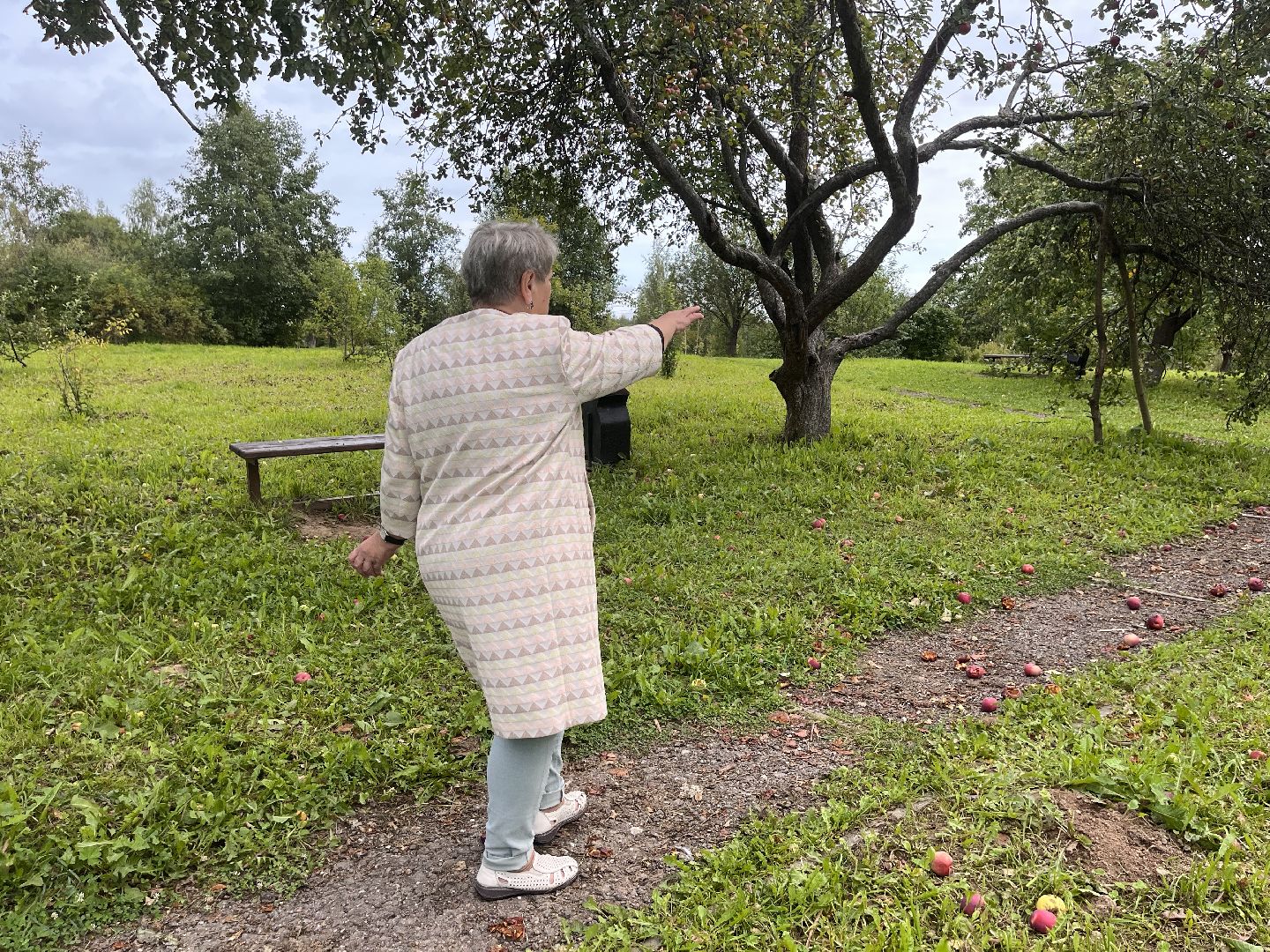 Шаховская, яблоневый сад, парк, история, краевед