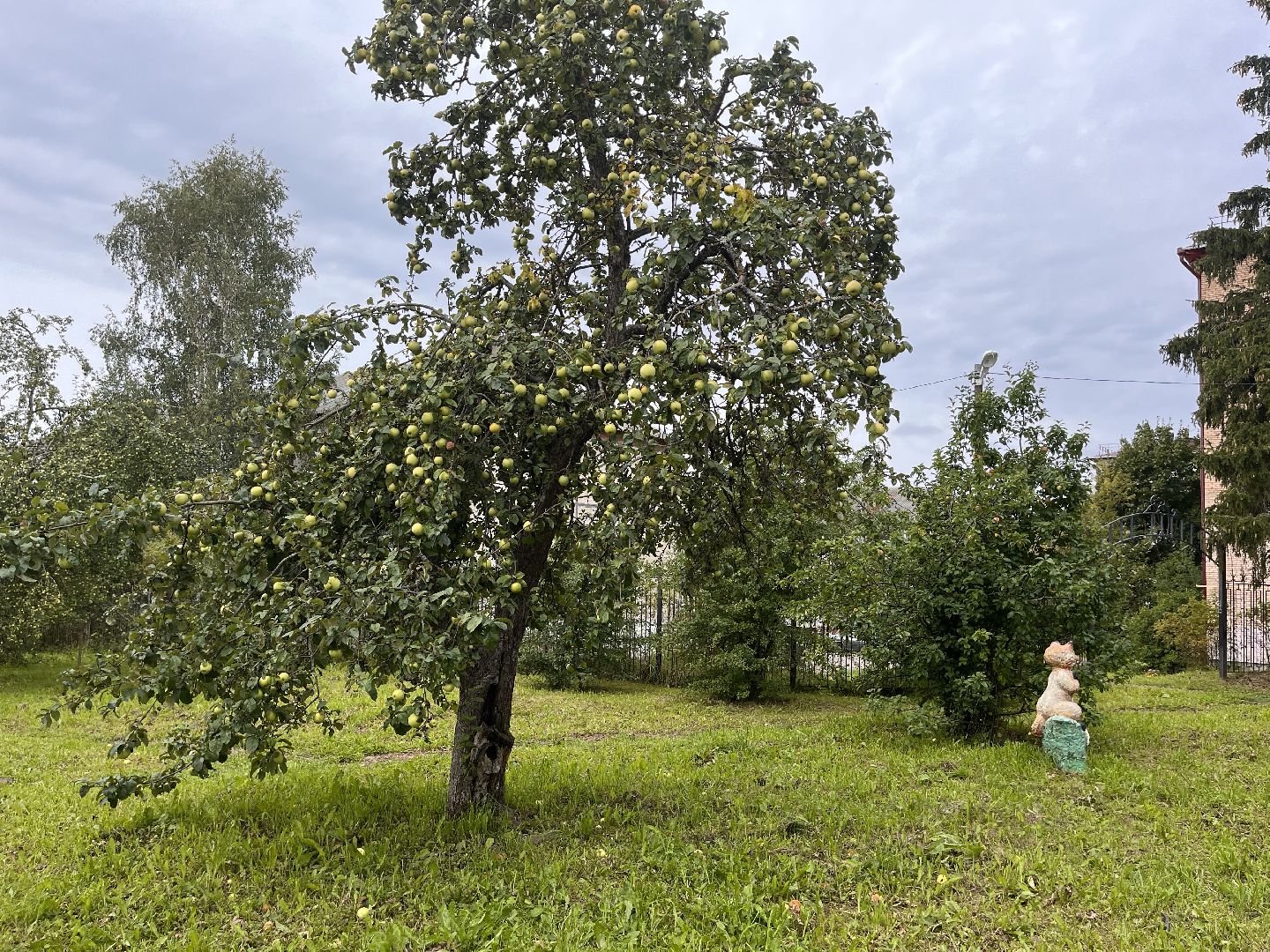 Шаховская, яблоневый сад, парк, история, краевед