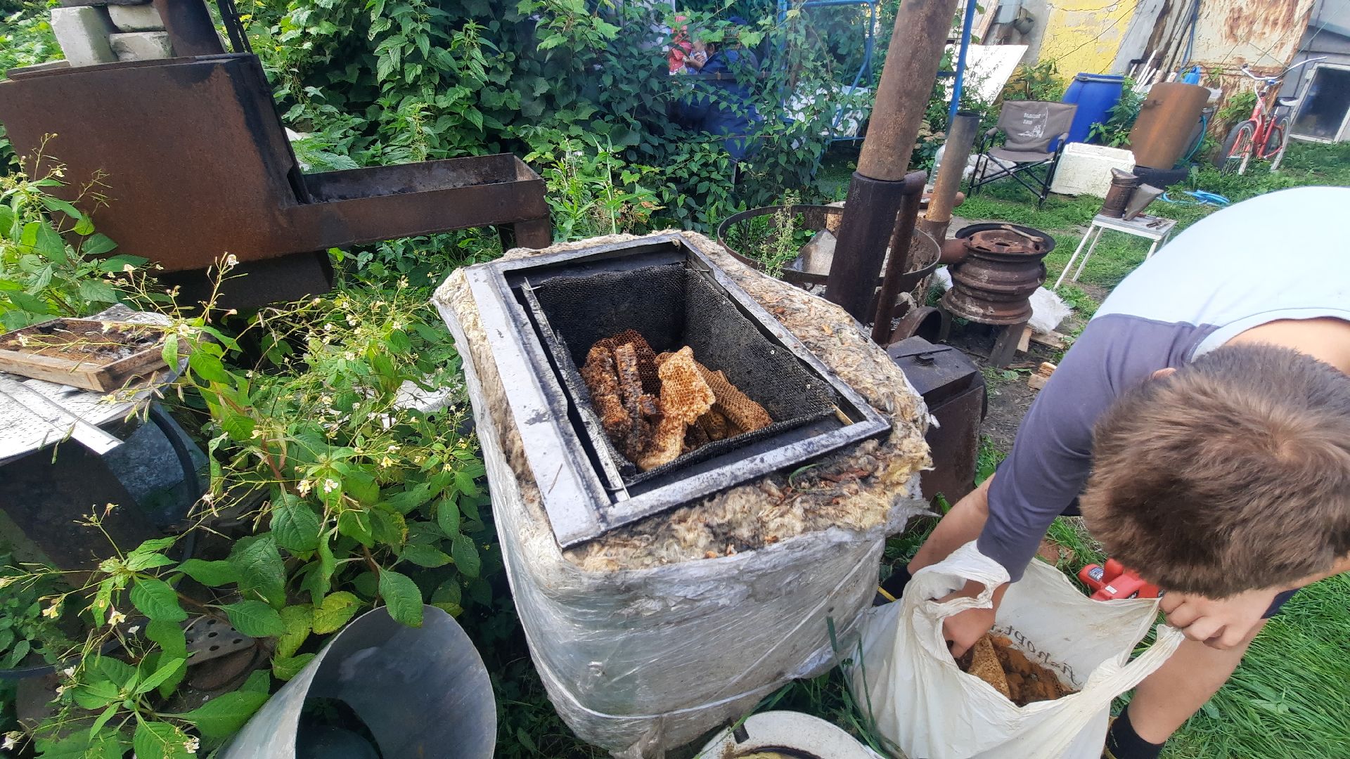 Шатура, активное долголетие, мёд, пасека, экскурсия