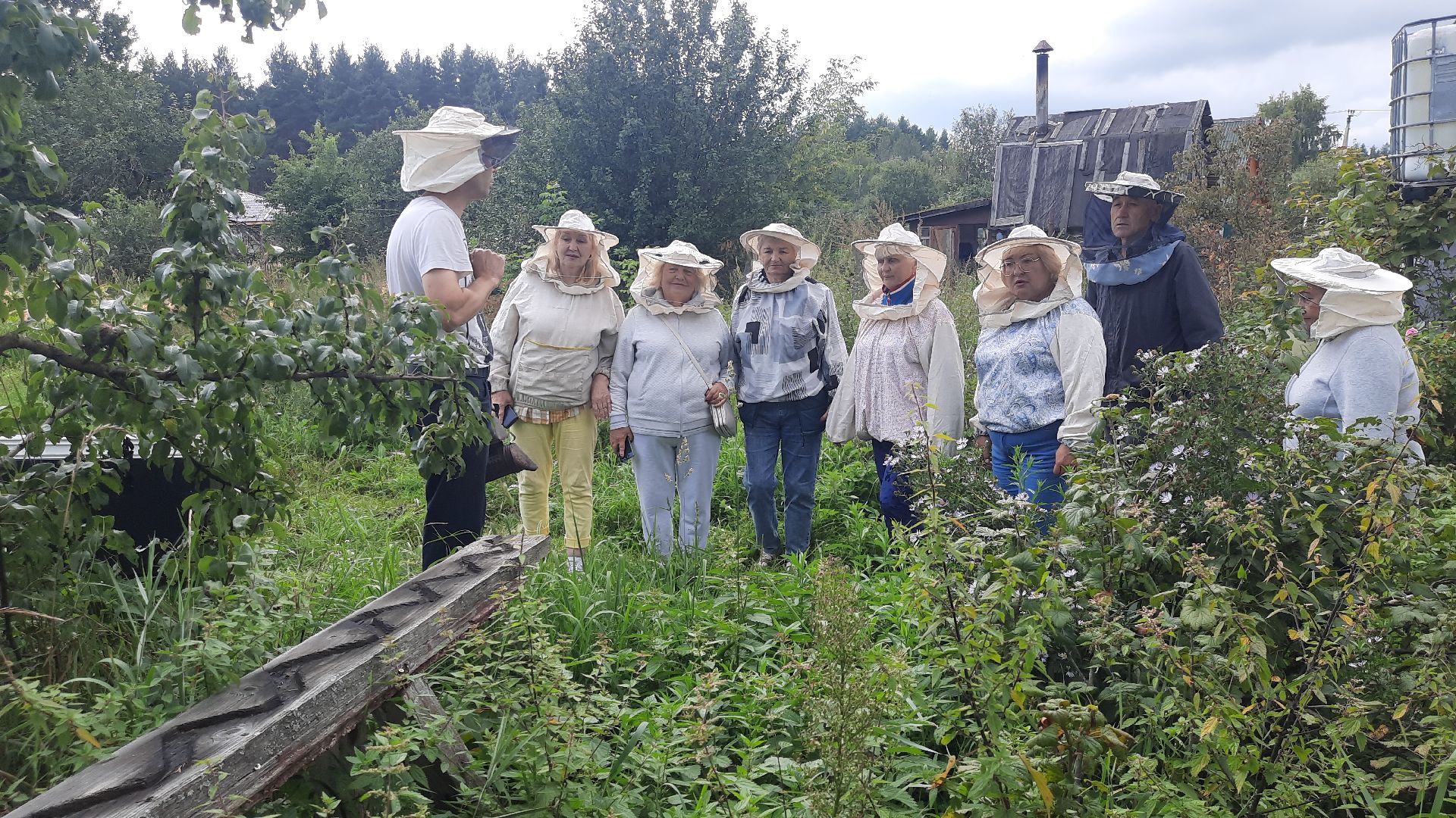 Шатура, активное долголетие, мёд, пасека, экскурсия