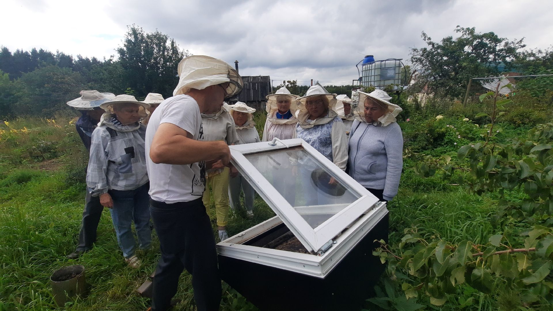 Шатура, активное долголетие, мёд, пасека, экскурсия