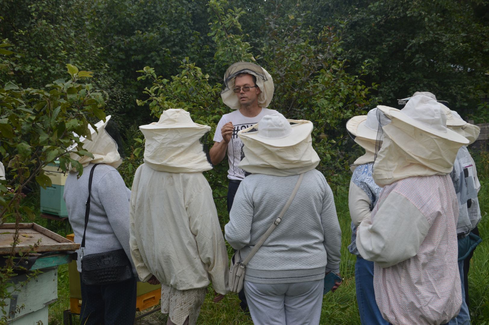 Шатура, активное долголетие, мёд, пасека, экскурсия