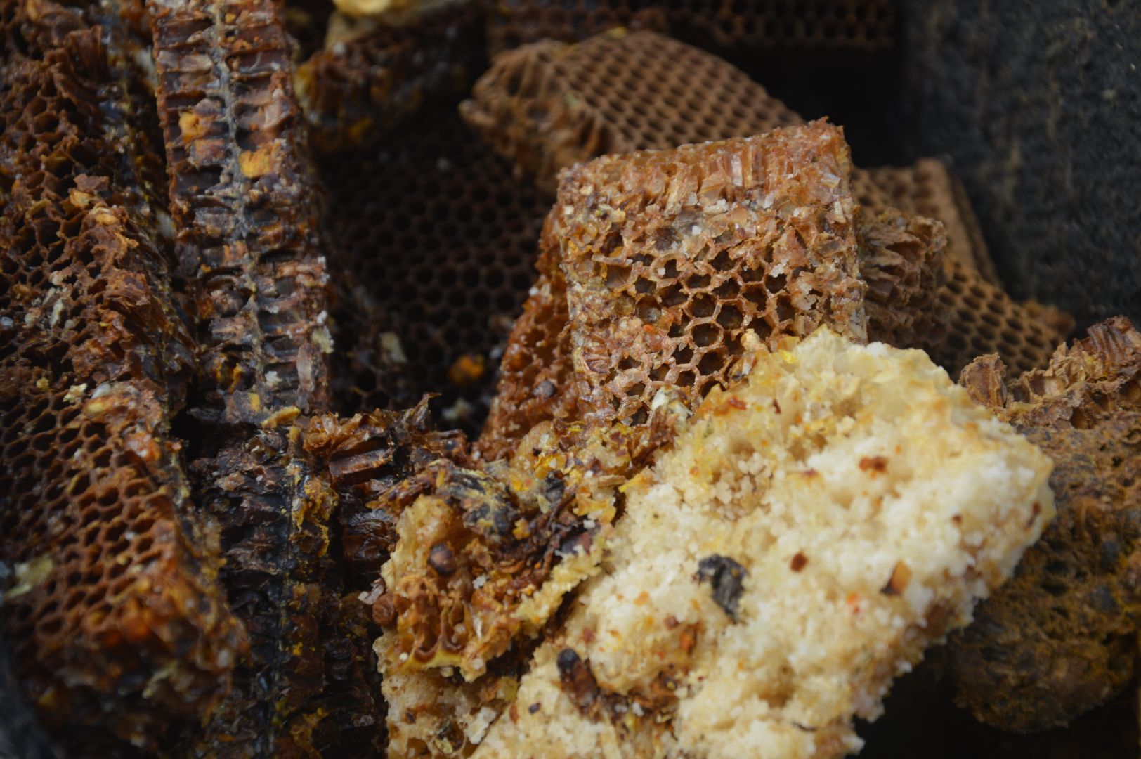 Шатура, активное долголетие, мёд, пасека, экскурсия