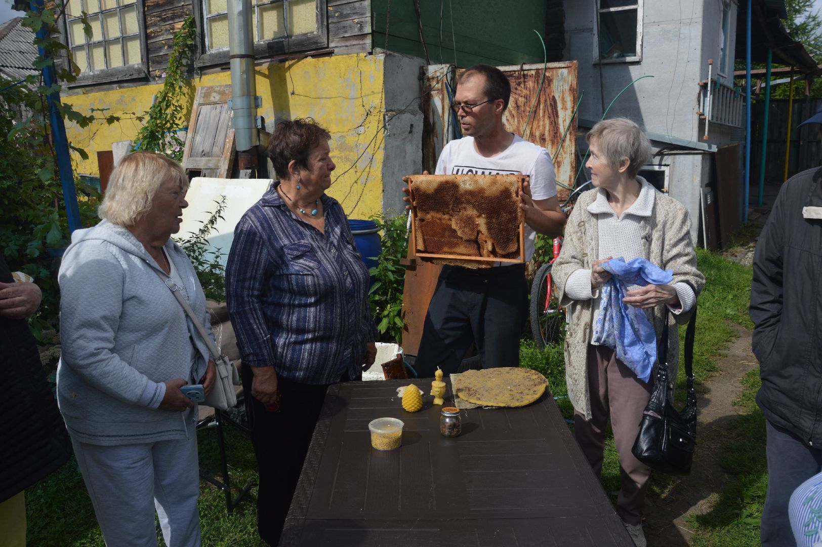 Шатура, активное долголетие, мёд, пасека, экскурсия