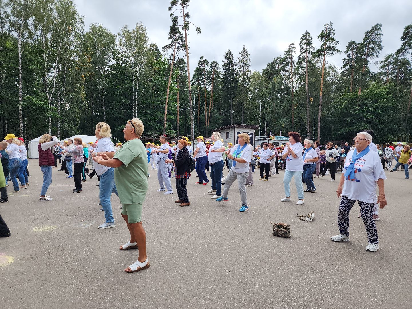 Активное долголетие, долголеты, зарядка, Ногинск, Богородский городской округ