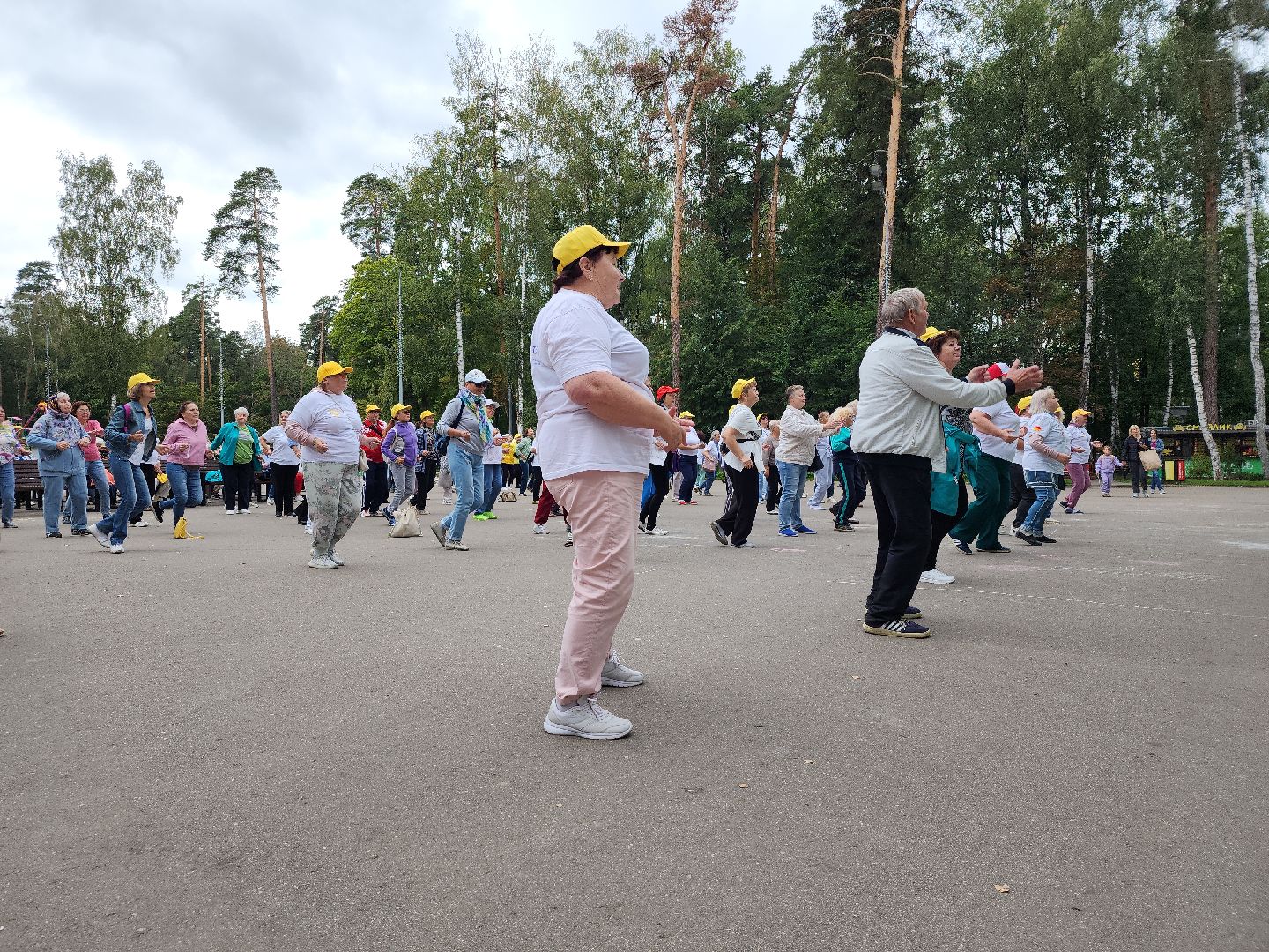 Активное долголетие, долголеты, зарядка, Ногинск, Богородский городской округ