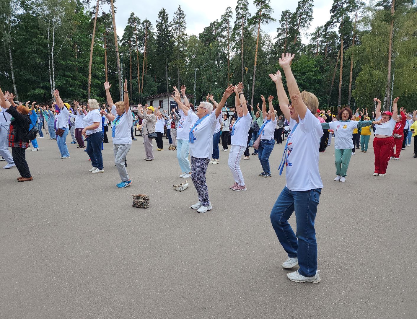 Активное долголетие, долголеты, зарядка, Ногинск, Богородский городской округ