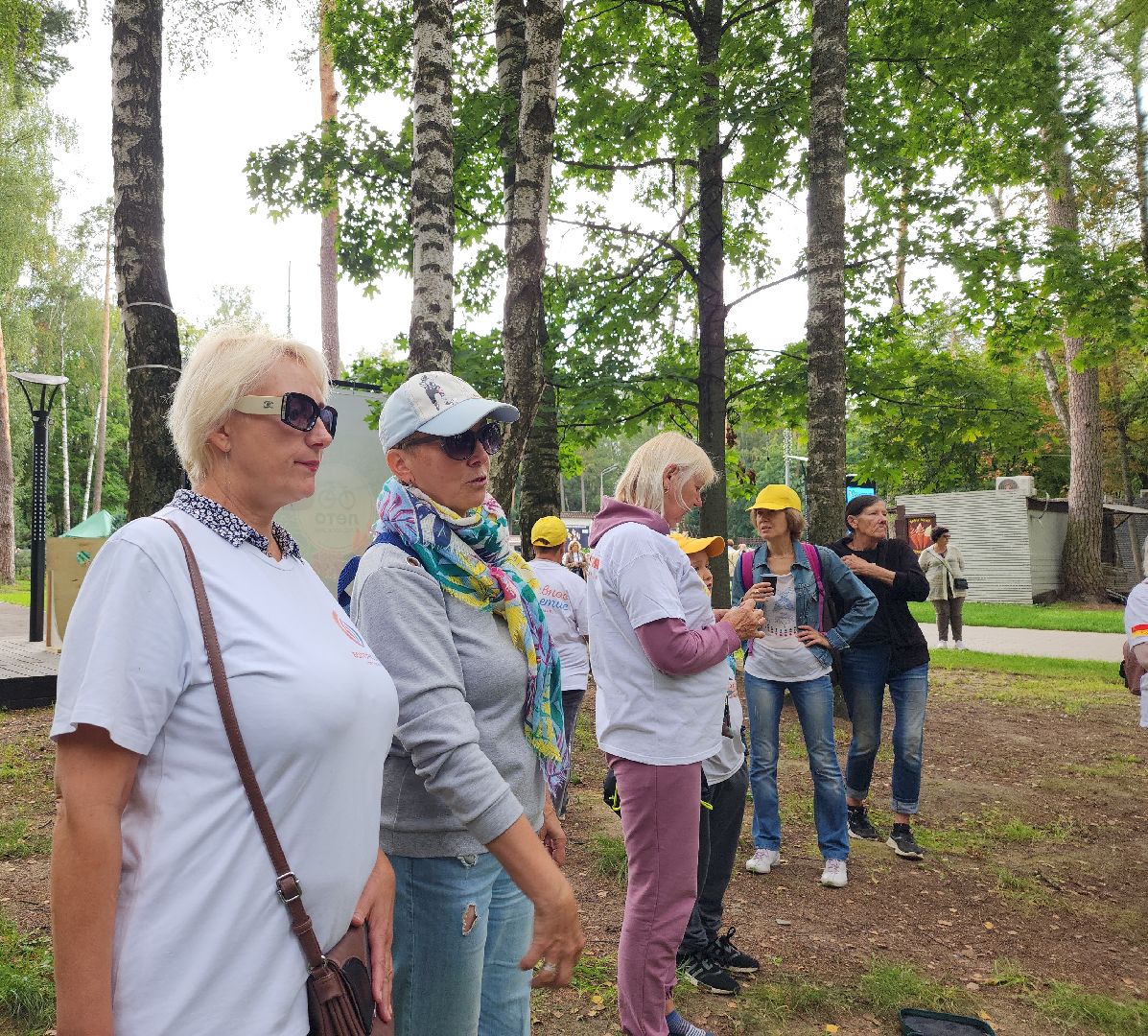 Активное долголетие, долголеты, Зарядка долголетов, Ногинск, Богородский городской округ