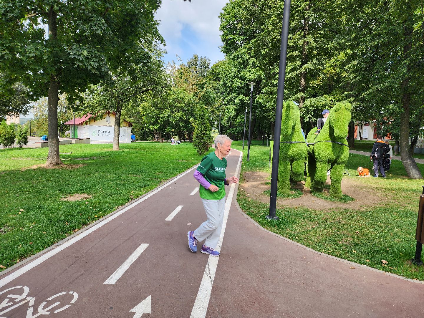 Подольск, активное долголетие, спорт, движение