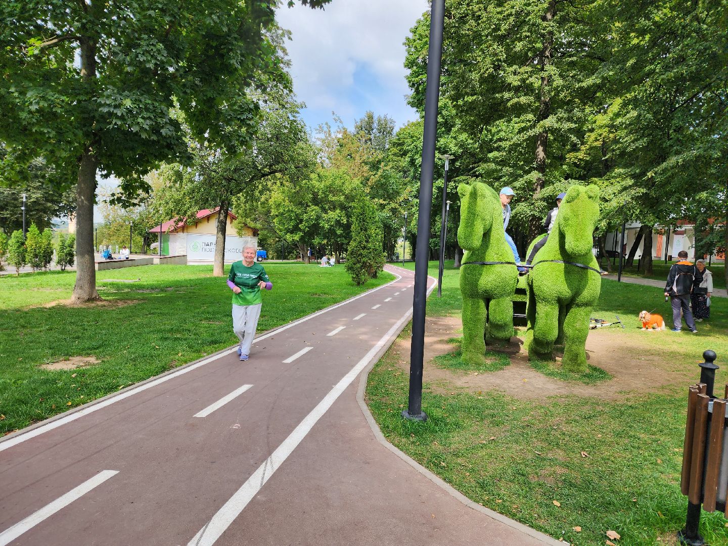 Подольск, активное долголетие, спорт, движение