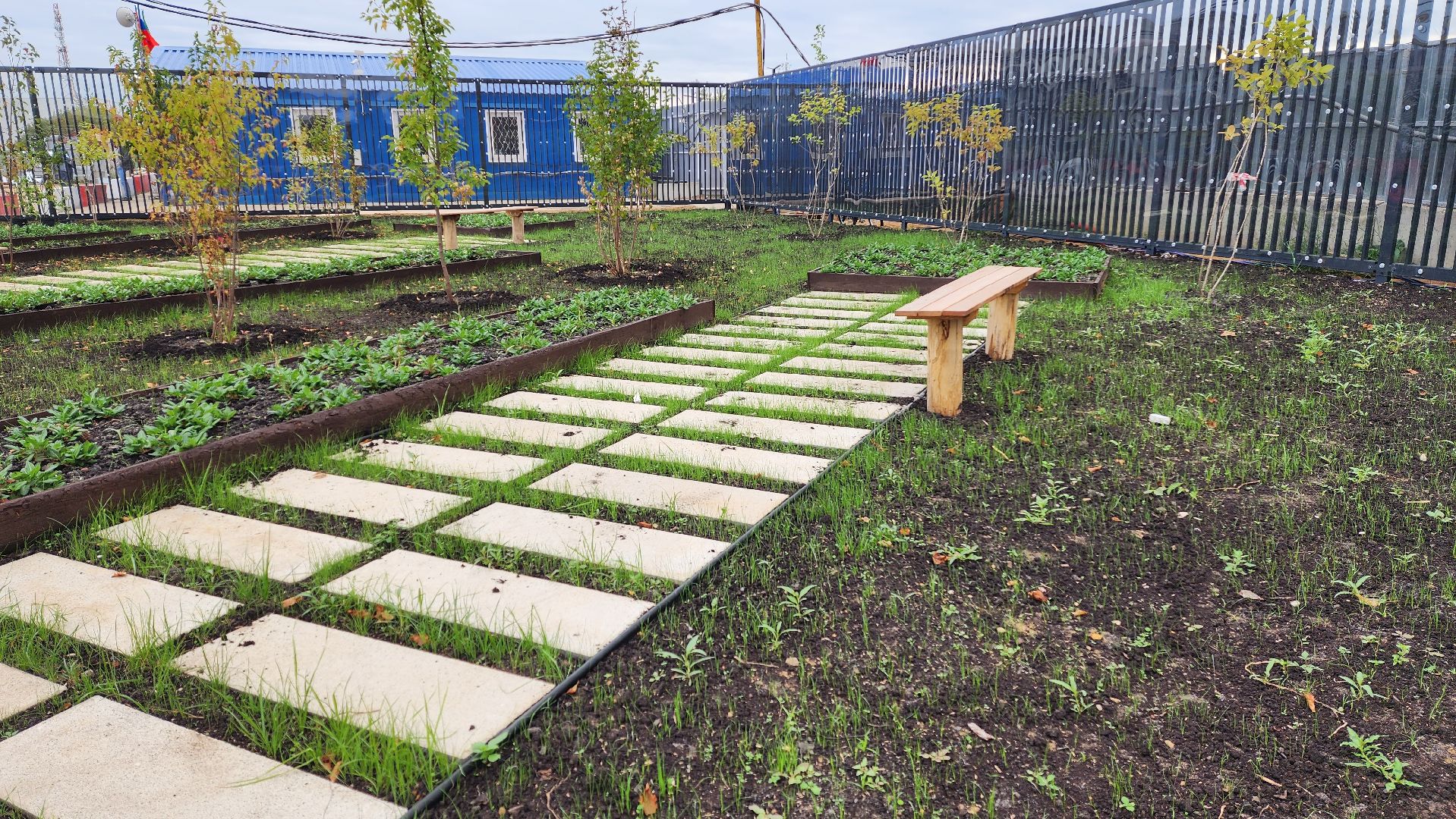 строительство, детский сад, благоустройство, открытие, Котельники