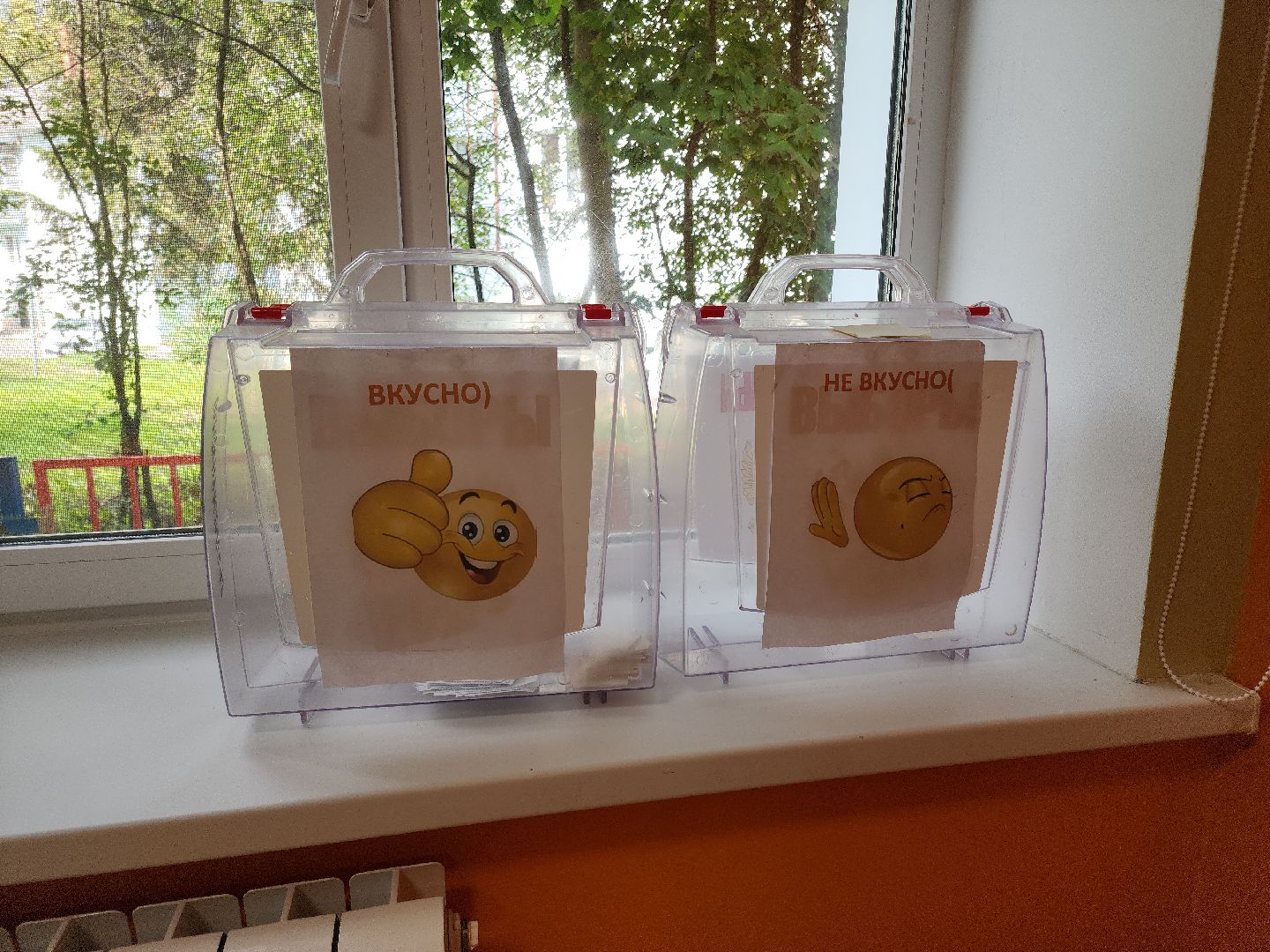 Кашира, школы, подготовка, ремонт, благоустройство