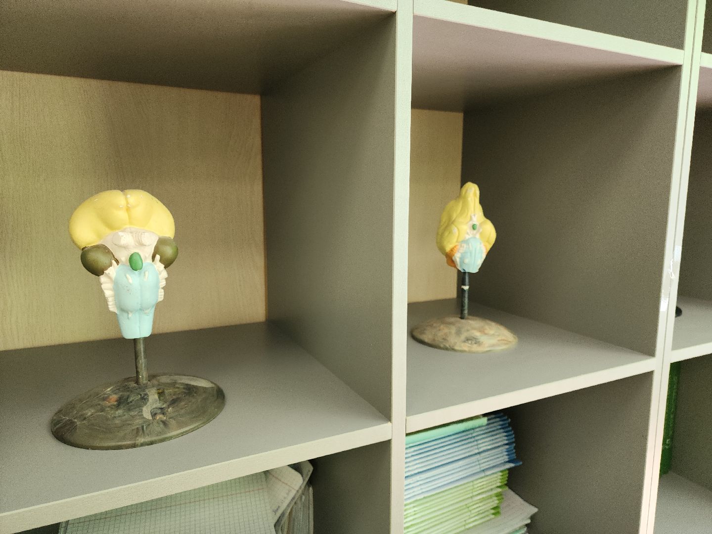 Кашира, школы, подготовка, ремонт, благоустройство