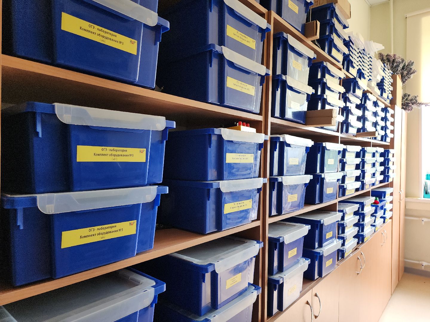 Кашира, школы, подготовка, ремонт, благоустройство