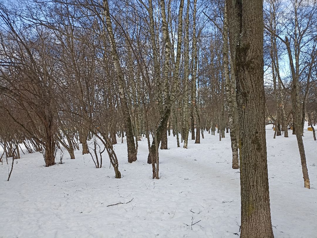 Серпухов, люди