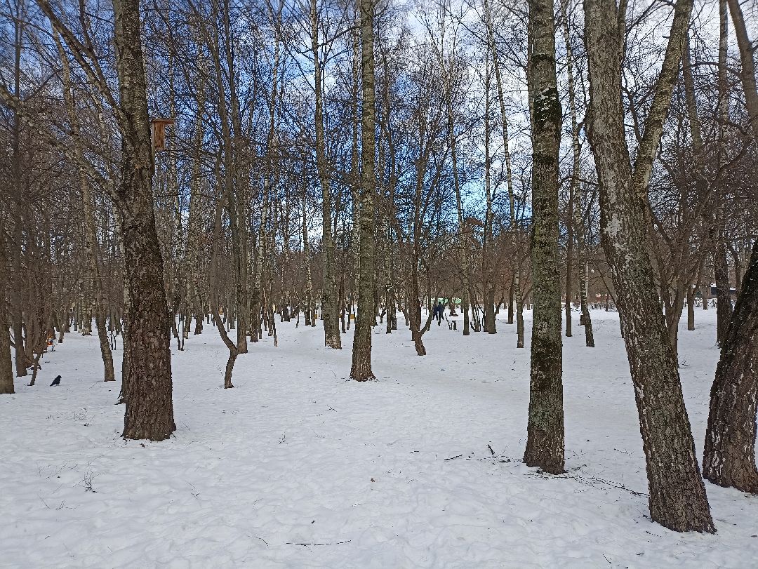 Серпухов, люди