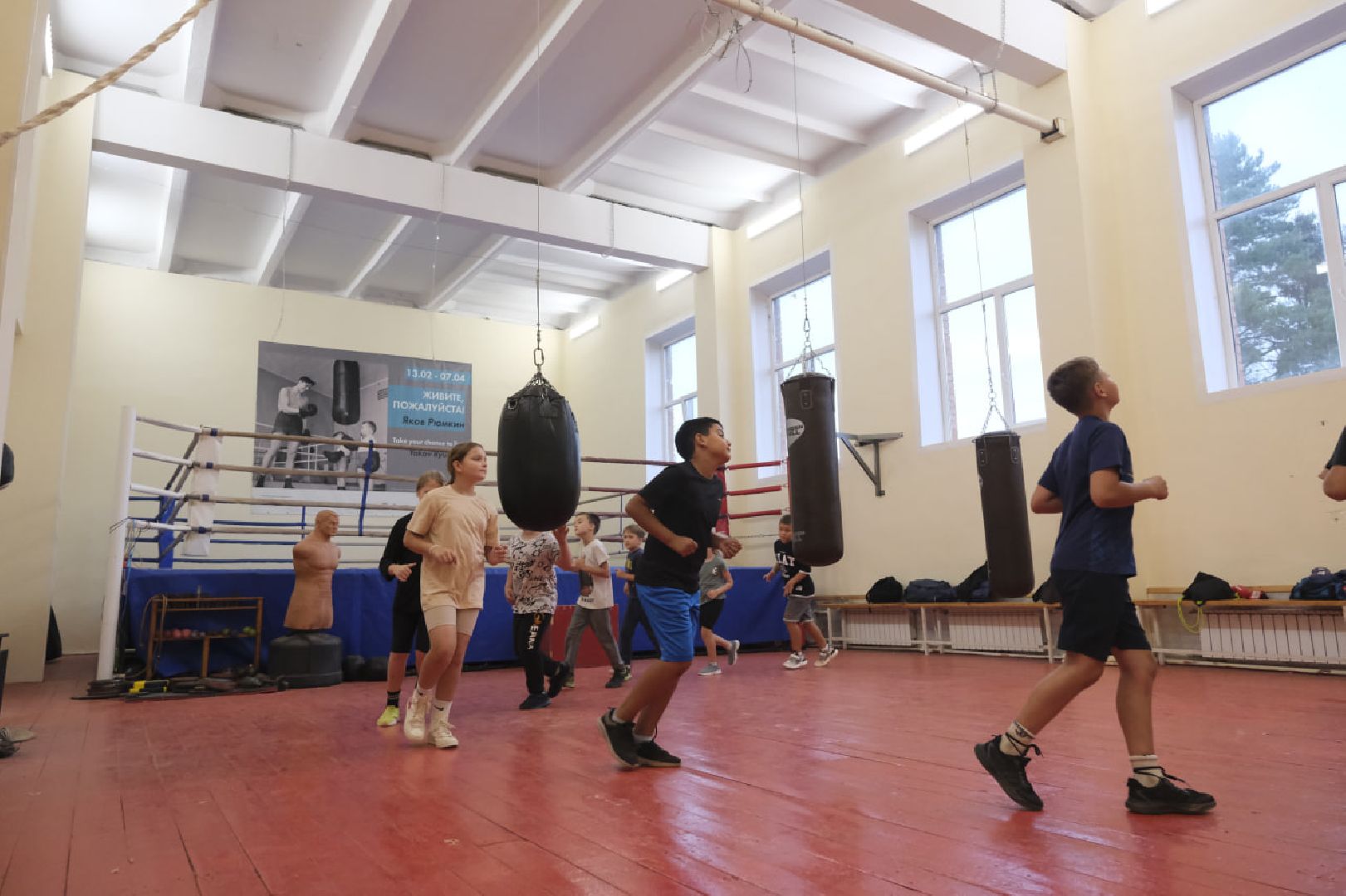 Пущино, спорт, бокс