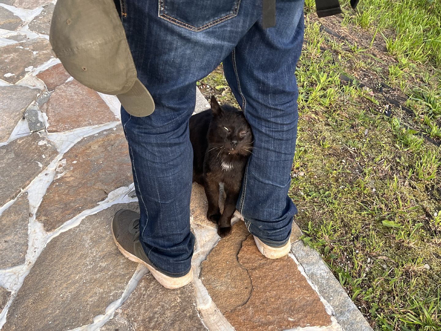 Шаховская, экскурсия, храм,