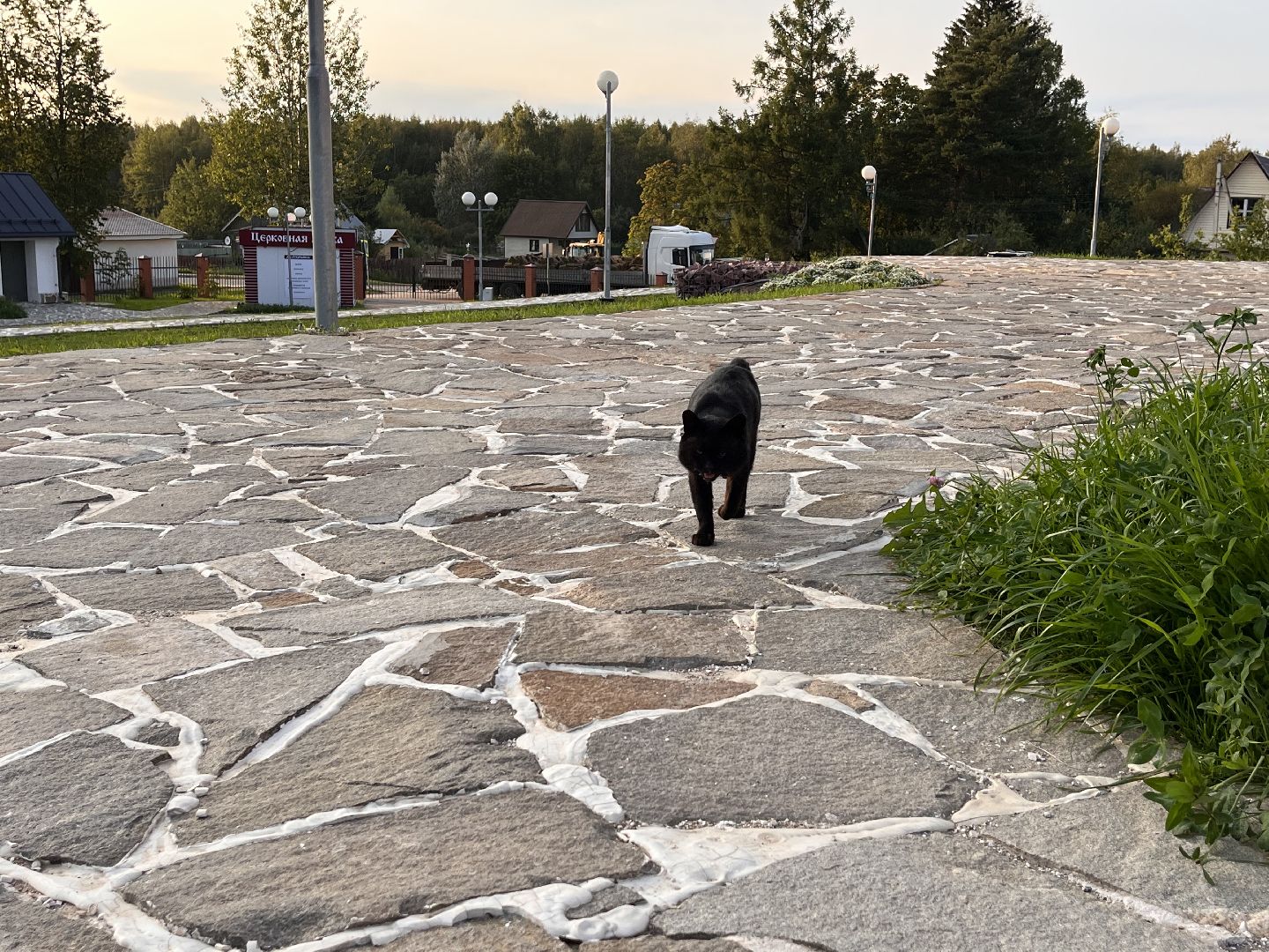 Шаховская, экскурсия, храм,