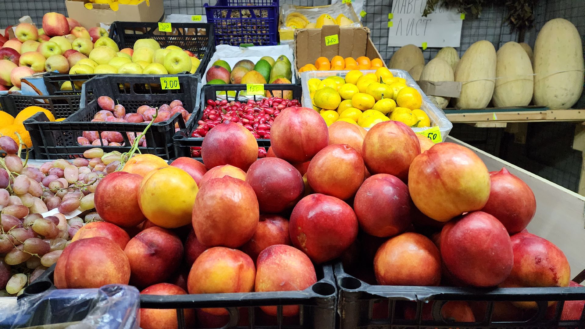 куар-код, НТО, легальная торговля, Котельники