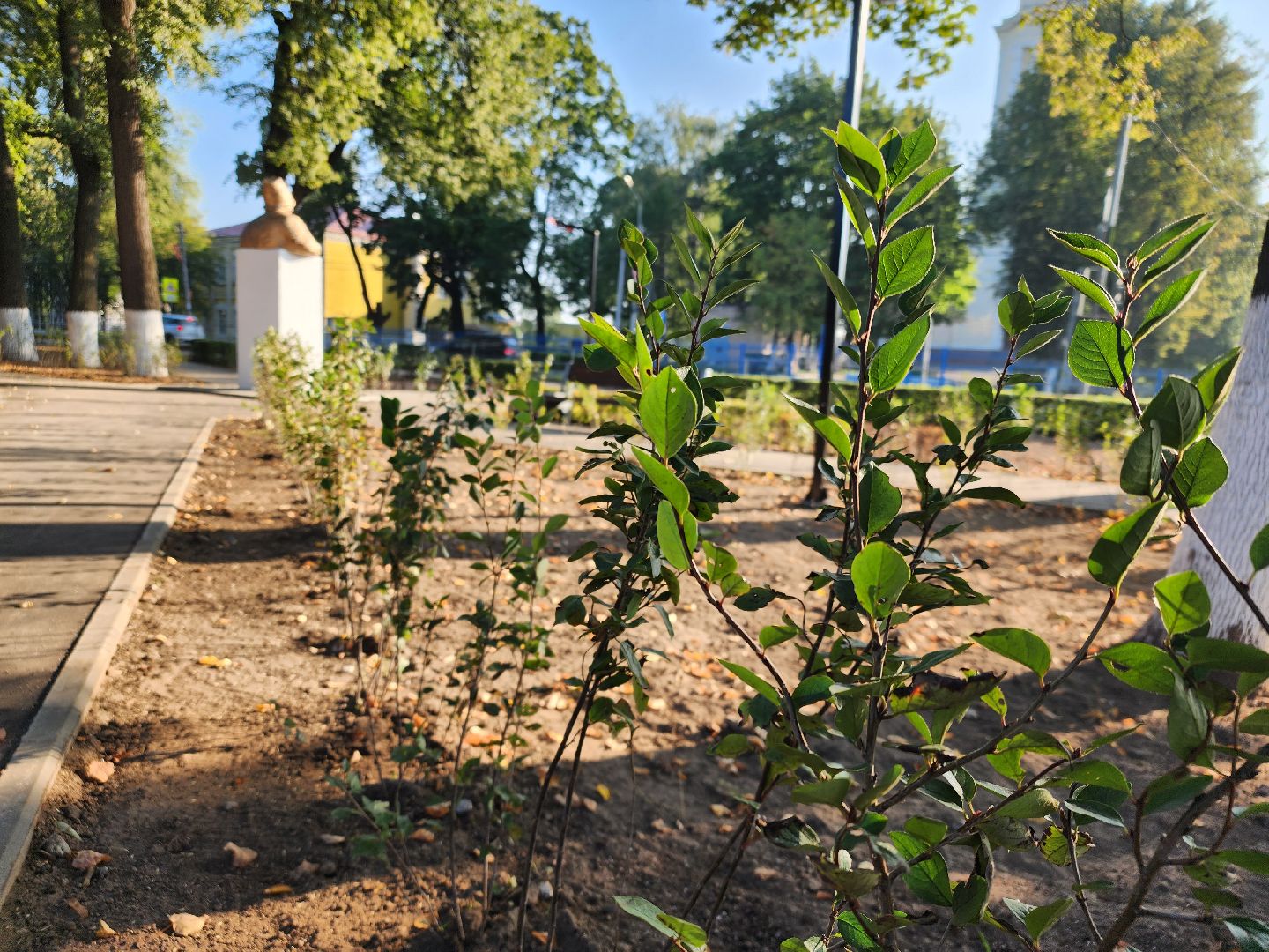 Павловский Посад, городской округ павловский Посад, люди, благоустройство, сквер, мемориал, ремонт