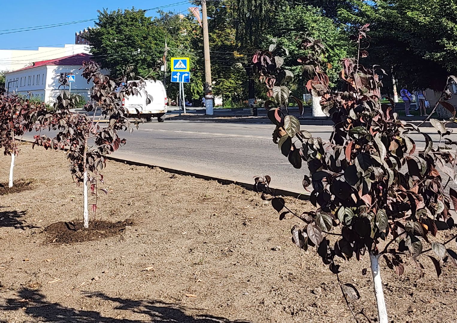 Павловский Посад, городской округ Павловский Посад, люди, благоустройство, тротуар, улица, ремонт