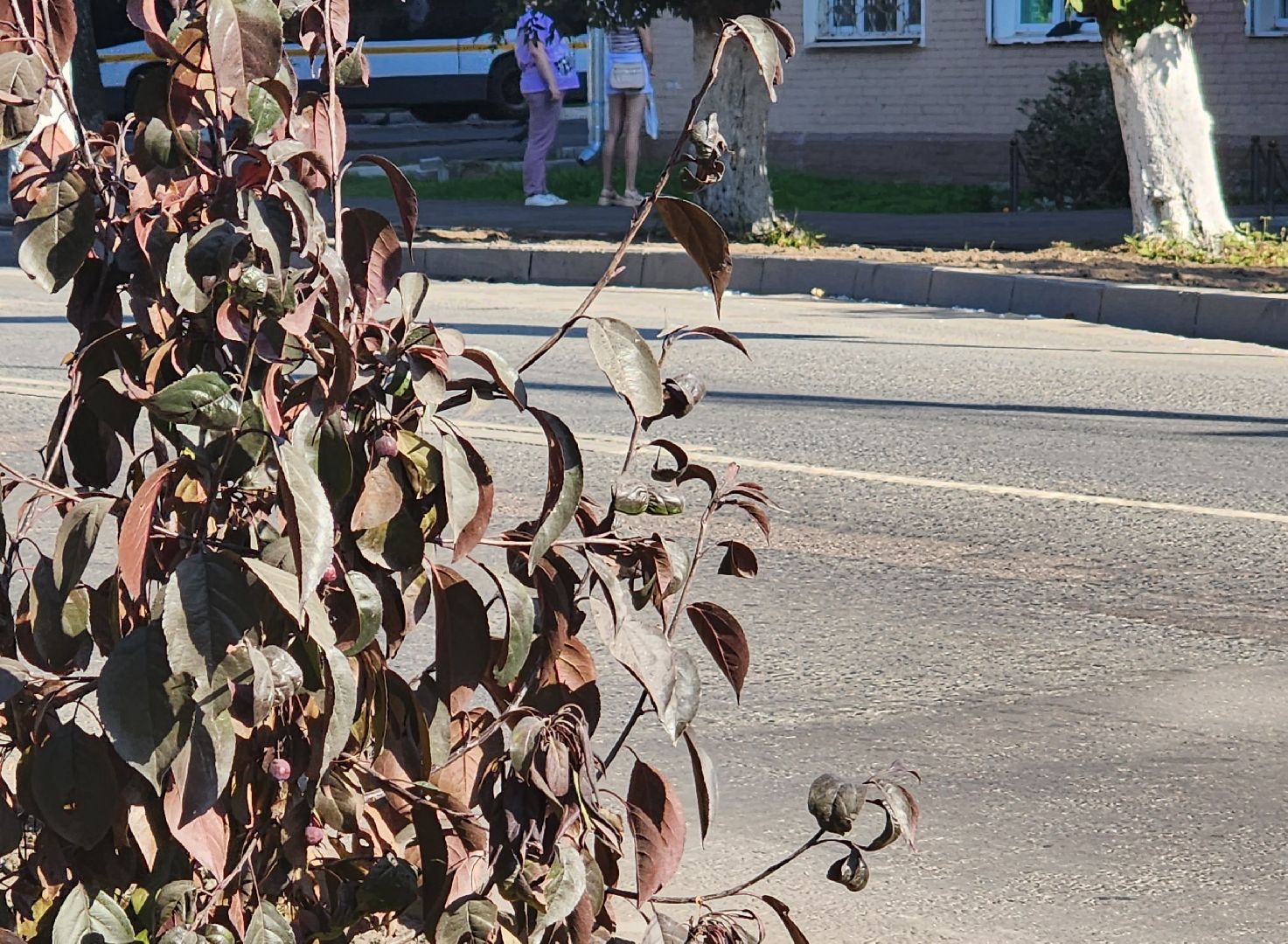 Павловский Посад, городской округ Павловский Посад, люди, благоустройство, тротуар, улица, ремонт