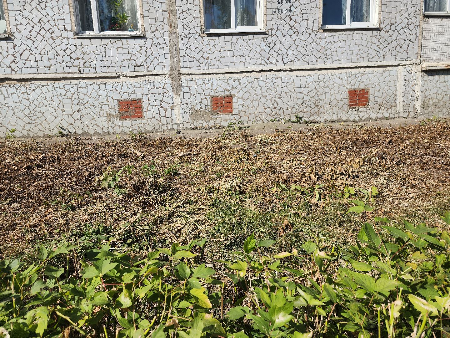 Павловский Посад, городской округ павловский Посад, люди, благоустройство, тротуар, кусты, уборка