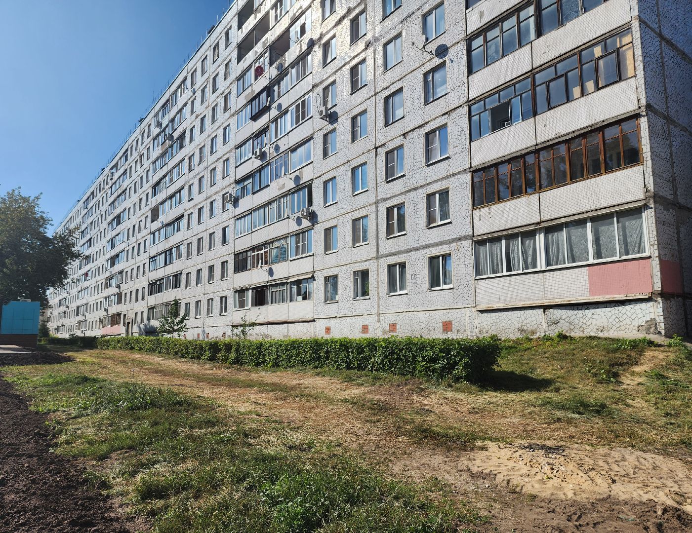 Павловский Посад, городской округ павловский Посад, люди, благоустройство, тротуар, кусты, уборка