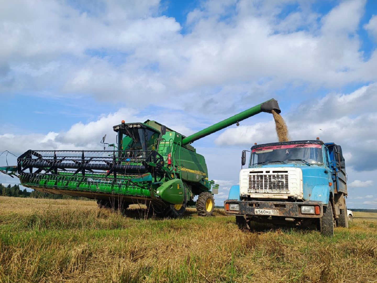 Можайск, Можайский городской округ, Подмосковье, сбор урожая, зерно, пшеница, овёс, рожь, аграрий, сельское хозяйство, агроном