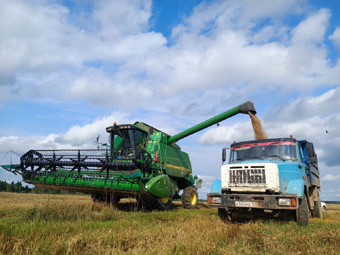 Можайск, Можайский городской округ, Подмосковье, сбор урожая, зерно, пшеница, овёс, рожь, аграрий, сельское хозяйство, агроном