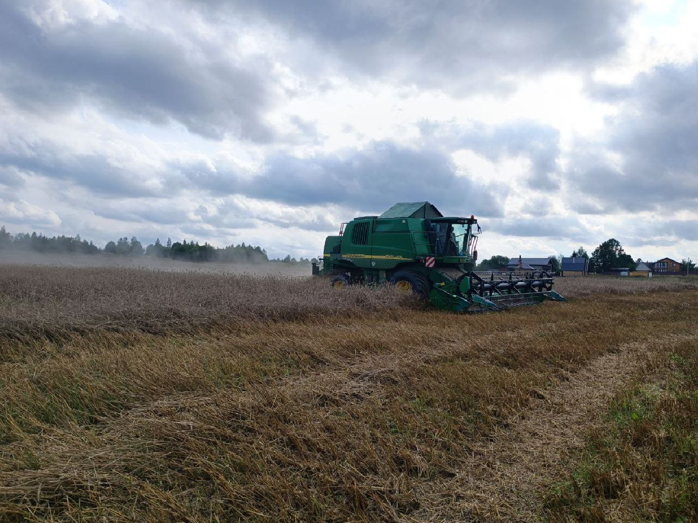 Можайск, Можайский городской округ, Подмосковье, сбор урожая, зерно, пшеница, овёс, рожь, аграрий, сельское хозяйство, агроном
