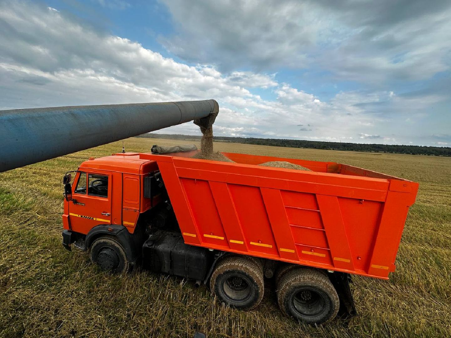 Можайск, Можайский городской округ, Подмосковье, сбор урожая, зерно, пшеница, овёс, рожь, аграрий, сельское хозяйство, агроном