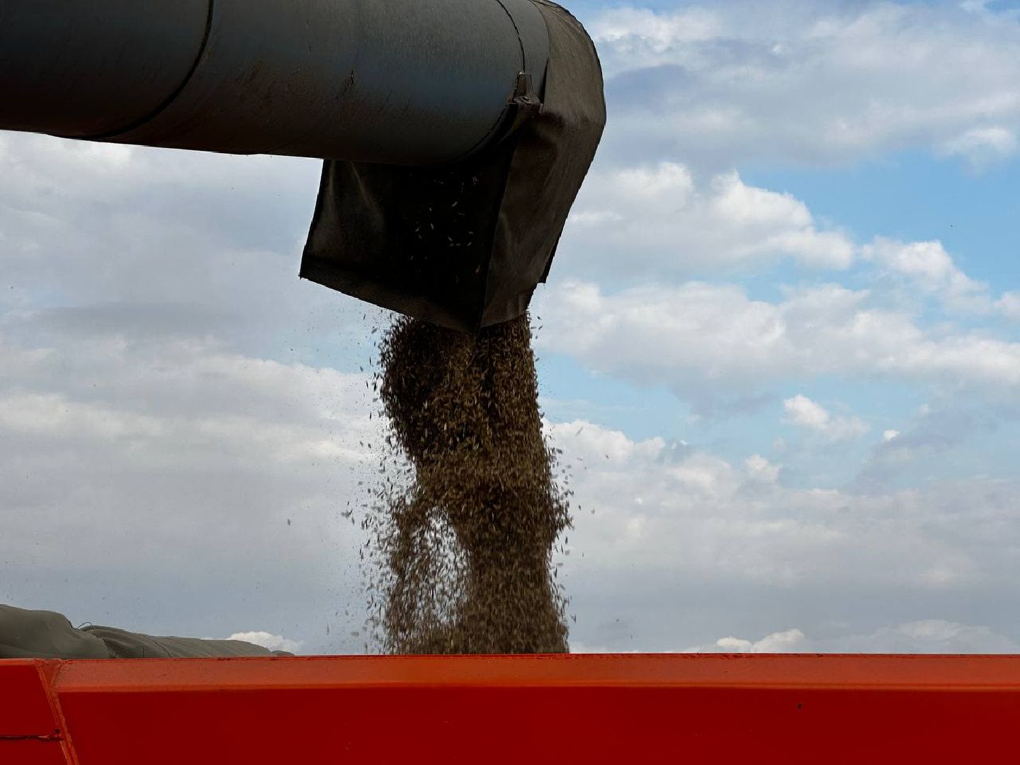 Можайск, Можайский городской округ, Подмосковье, сбор урожая, зерно, пшеница, овёс, рожь, аграрий, сельское хозяйство, агроном