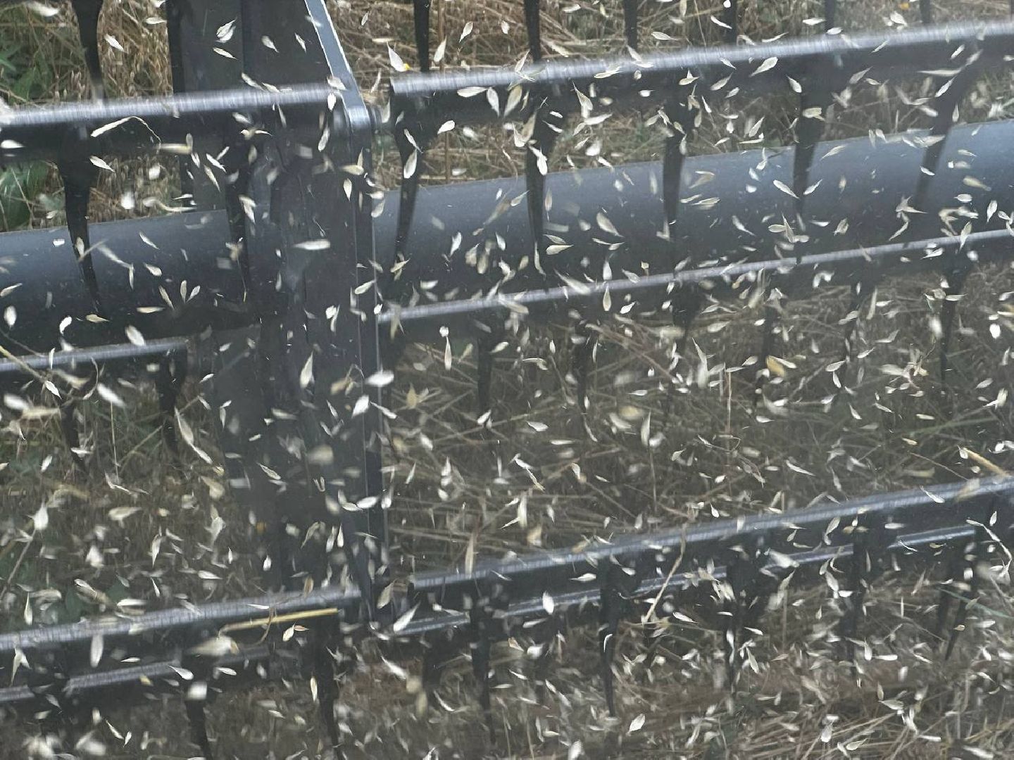 Можайск, Можайский городской округ, Подмосковье, сбор урожая, зерно, пшеница, овёс, рожь, аграрий, сельское хозяйство, агроном