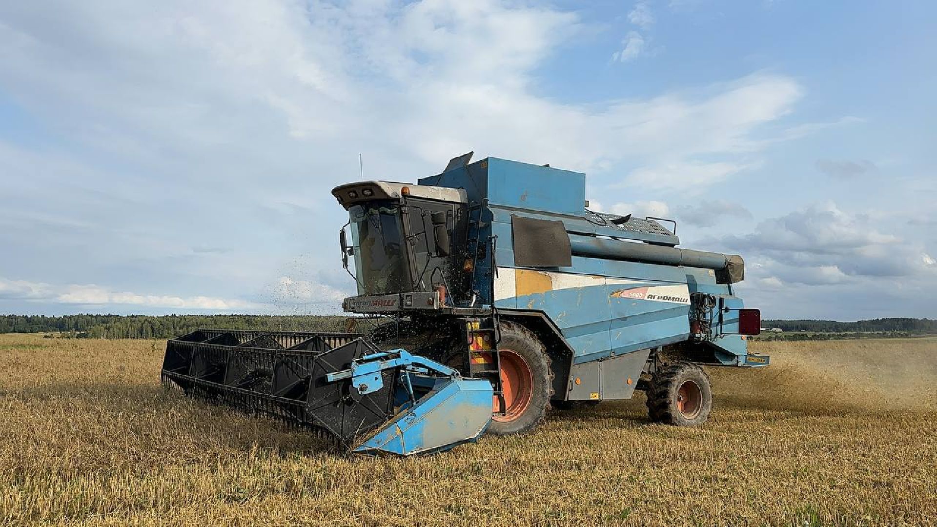 Можайск, Можайский городской округ, Подмосковье, сбор урожая, зерно, пшеница, овёс, рожь, аграрий, сельское хозяйство, агроном