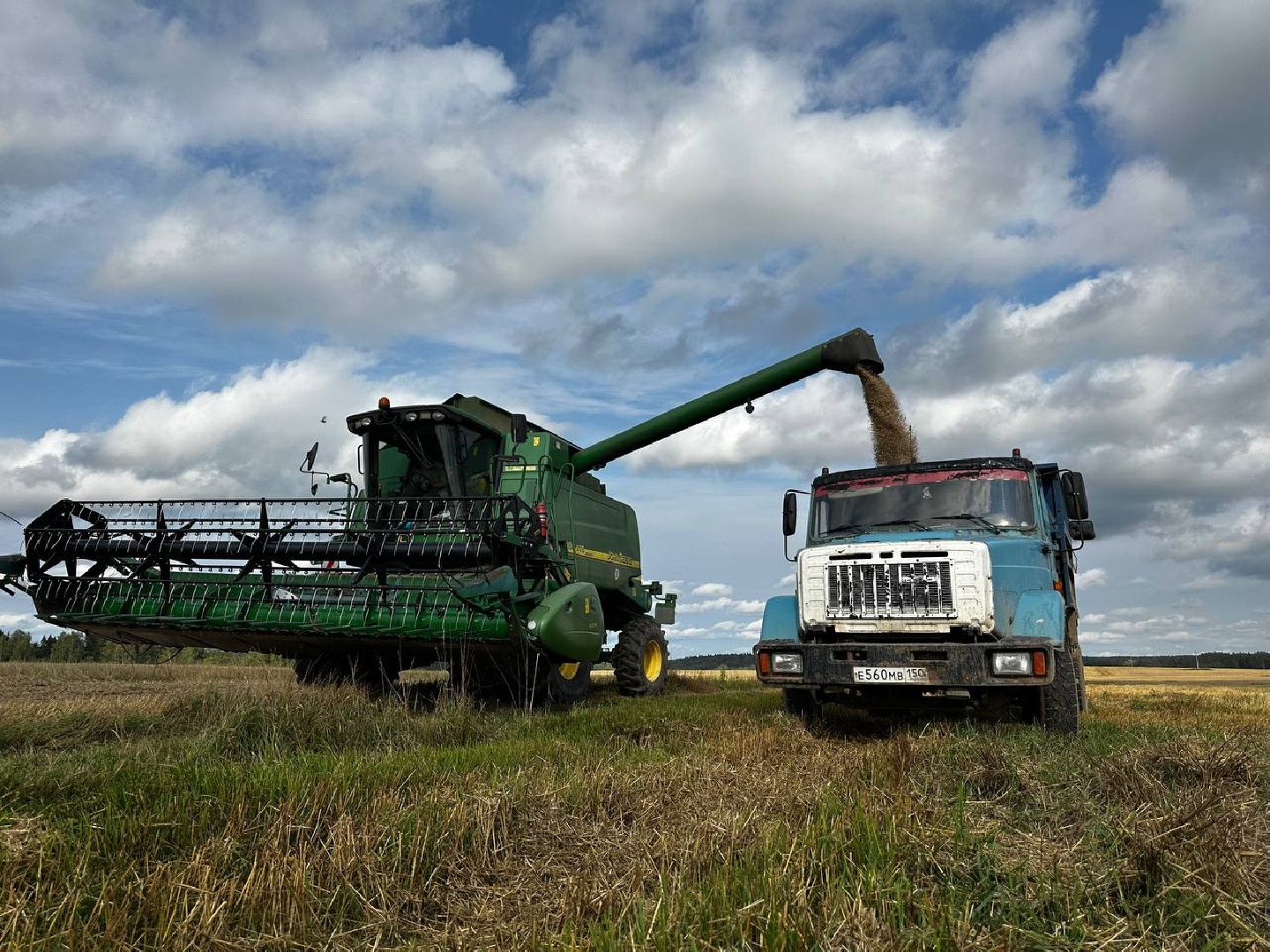 Можайск, Можайский городской округ, Подмосковье, сбор урожая, зерно, пшеница, овёс, рожь, аграрий, сельское хозяйство, агроном