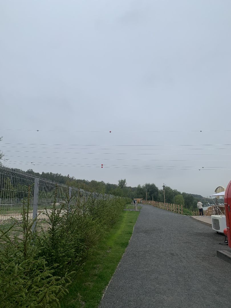 Деревья, экология, благоустройство, красногорск,