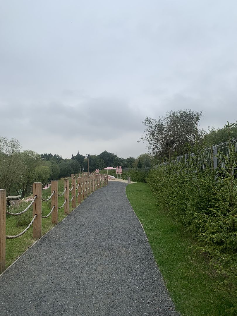 Деревья, экология, благоустройство, красногорск,