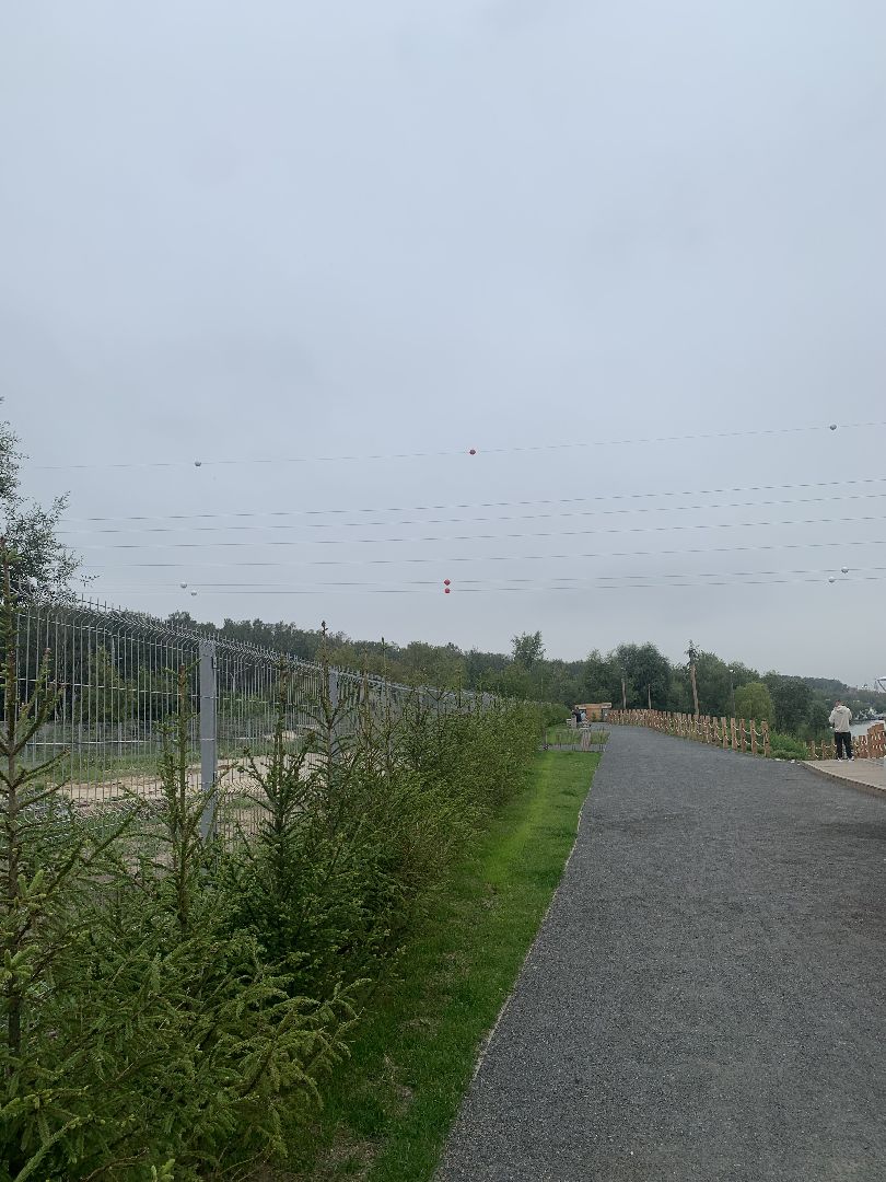 Деревья, экология, благоустройство, красногорск,