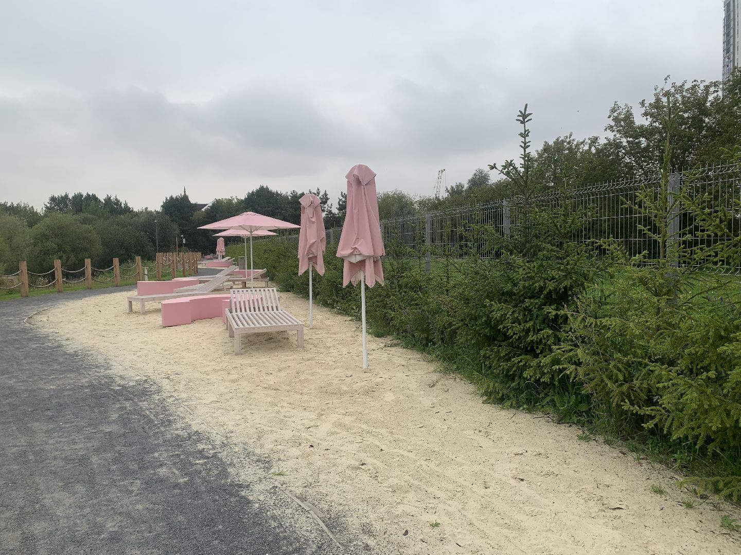 Деревья, экология, благоустройство, красногорск,